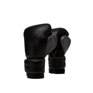 Boxing Gloves 3