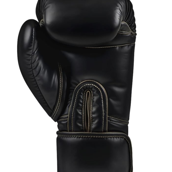 Boxing Gloves 4