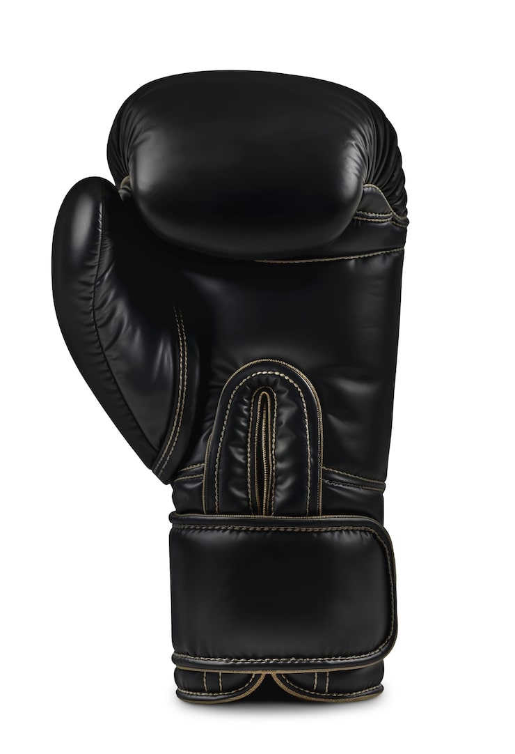 Boxing Gloves 4